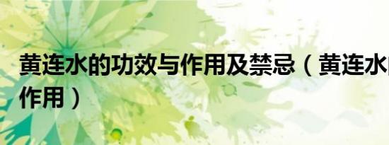 黄连水的功效与作用及禁忌（黄连水的功效与作用）