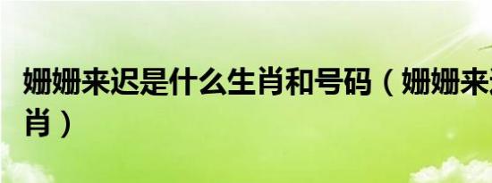 姗姗来迟是什么生肖和号码（姗姗来迟打一生肖）