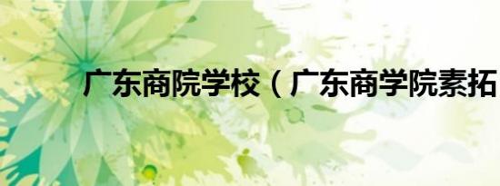 广东商院学校（广东商学院素拓）