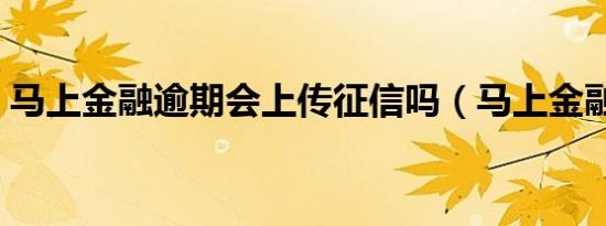 马上金融逾期会上传征信吗（马上金融逾期）