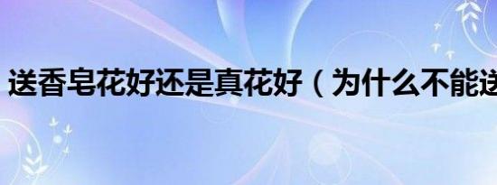 送香皂花好还是真花好（为什么不能送皂花）