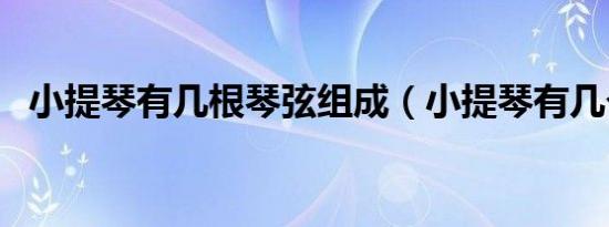 小提琴有几根琴弦组成（小提琴有几个弦）