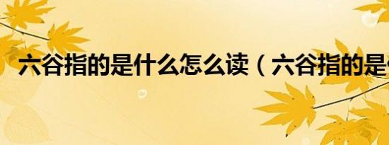 六谷指的是什么怎么读（六谷指的是什么）