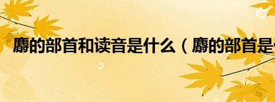 麝的部首和读音是什么（麝的部首是什么）