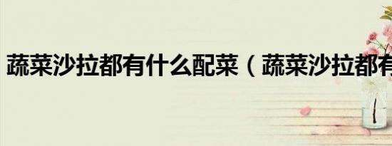 蔬菜沙拉都有什么配菜（蔬菜沙拉都有什么）