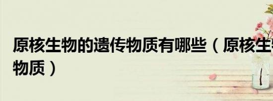 原核生物的遗传物质有哪些（原核生物的遗传物质）
