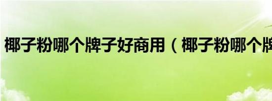 椰子粉哪个牌子好商用（椰子粉哪个牌子好）