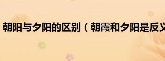 朝阳与夕阳的区别（朝霞和夕阳是反义词吗）