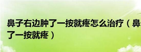 鼻子右边肿了一按就疼怎么治疗（鼻子右边肿了一按就疼）