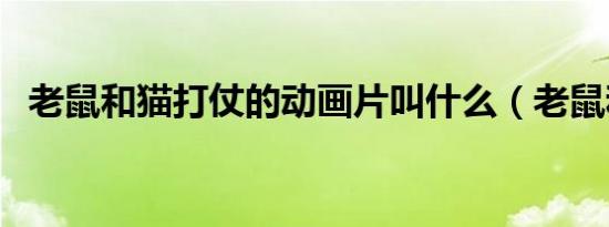 老鼠和猫打仗的动画片叫什么（老鼠和猫）