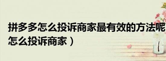 拼多多怎么投诉商家最有效的方法呢（拼多多怎么投诉商家）