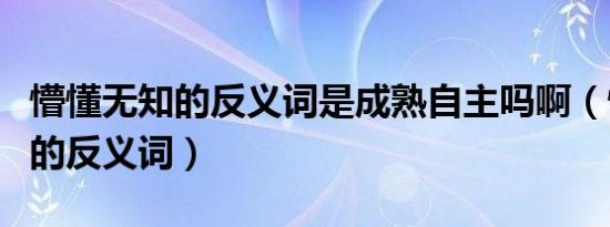 懵懂无知的反义词是成熟自主吗啊（懵懂无知的反义词）