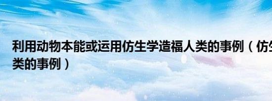 利用动物本能或运用仿生学造福人类的事例（仿生学造福人类的事例）