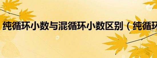 纯循环小数与混循环小数区别（纯循环小数）