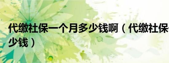 代缴社保一个月多少钱啊（代缴社保一个月多少钱）