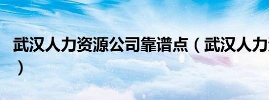 武汉人力资源公司靠谱点（武汉人力资源公司）