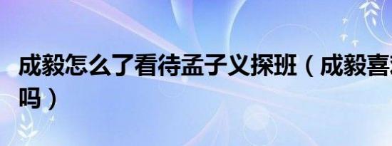 成毅怎么了看待孟子义探班（成毅喜欢孟子义吗）