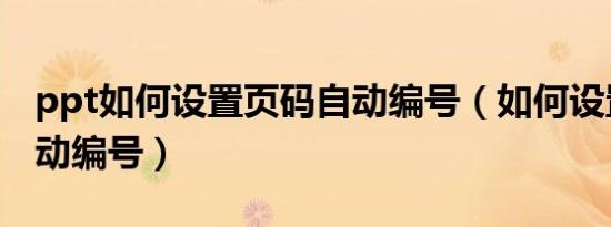 ppt如何设置页码自动编号（如何设置页码自动编号）