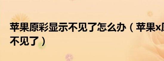 苹果原彩显示不见了怎么办（苹果x原彩显示不见了）