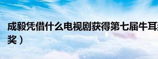 成毅凭借什么电视剧获得第七届牛耳奖（牛耳奖）
