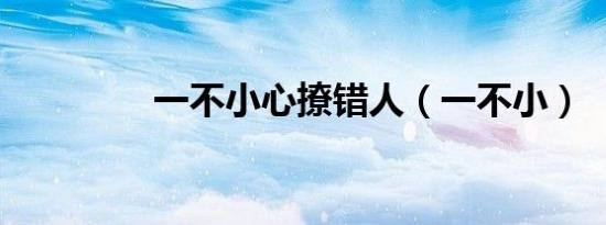 一不小心撩错人（一不小）