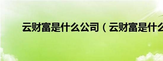云财富是什么公司（云财富是什么）