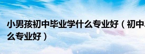 小男孩初中毕业学什么专业好（初中毕业学什么专业好）