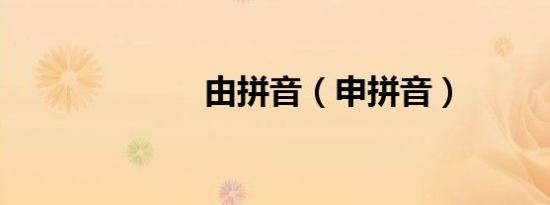 由拼音（申拼音）