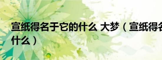 宣纸得名于它的什么 大梦（宣纸得名于它的什么）