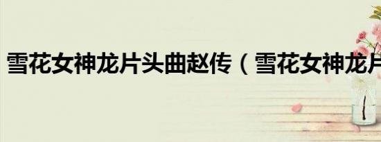 雪花女神龙片头曲赵传（雪花女神龙片头曲）