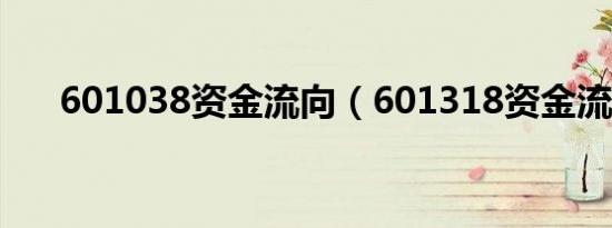 601038资金流向（601318资金流向）