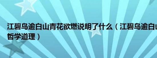 江碧鸟逾白山青花欲燃说明了什么（江碧鸟逾白山青花欲燃哲学道理）