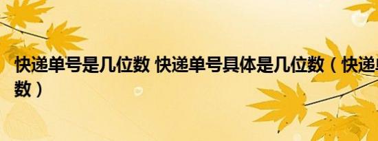 快递单号是几位数 快递单号具体是几位数（快递单号是几位数）