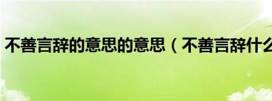 不善言辞的意思的意思（不善言辞什么意思）