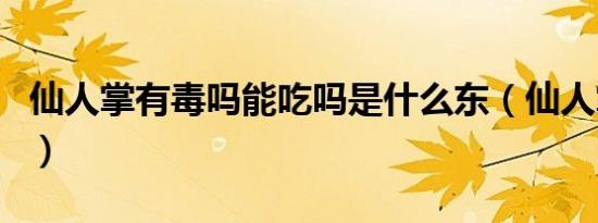 仙人掌有毒吗能吃吗是什么东（仙人掌有毒吗）