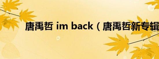 唐禹哲 im back（唐禹哲新专辑）