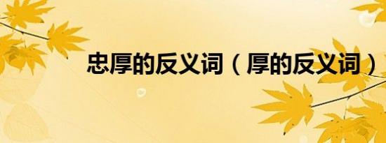 忠厚的反义词（厚的反义词）