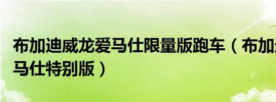 布加迪威龙爱马仕限量版跑车（布加迪威龙爱马仕特别版）