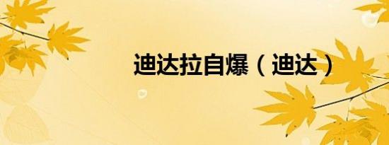 迪达拉自爆（迪达）