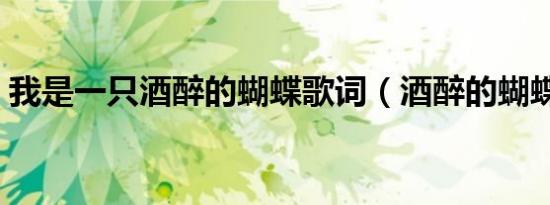 我是一只酒醉的蝴蝶歌词（酒醉的蝴蝶歌词）