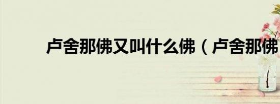 卢舍那佛又叫什么佛（卢舍那佛）