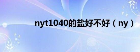 nyt1040的盐好不好（ny）