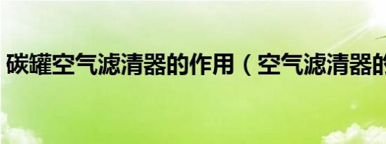 碳罐空气滤清器的作用（空气滤清器的作用）