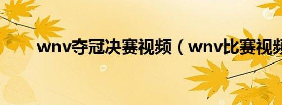 wnv夺冠决赛视频（wnv比赛视频）