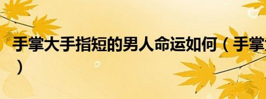 手掌大手指短的男人命运如何（手掌大手指短）