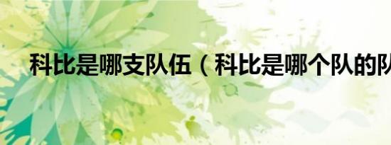 科比是哪支队伍（科比是哪个队的队员）