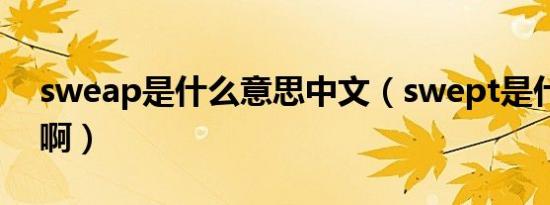 sweap是什么意思中文（swept是什么意思啊）