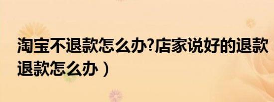 淘宝不退款怎么办?店家说好的退款（淘宝不退款怎么办）