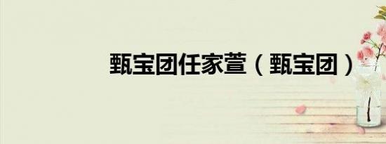 甄宝团任家萱（甄宝团）