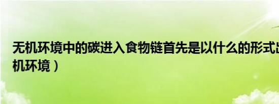 无机环境中的碳进入食物链首先是以什么的形式出现的（无机环境）